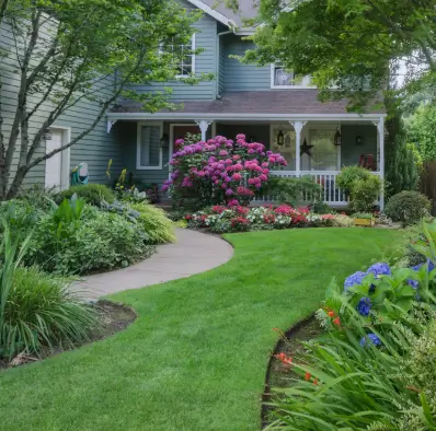 landscaping